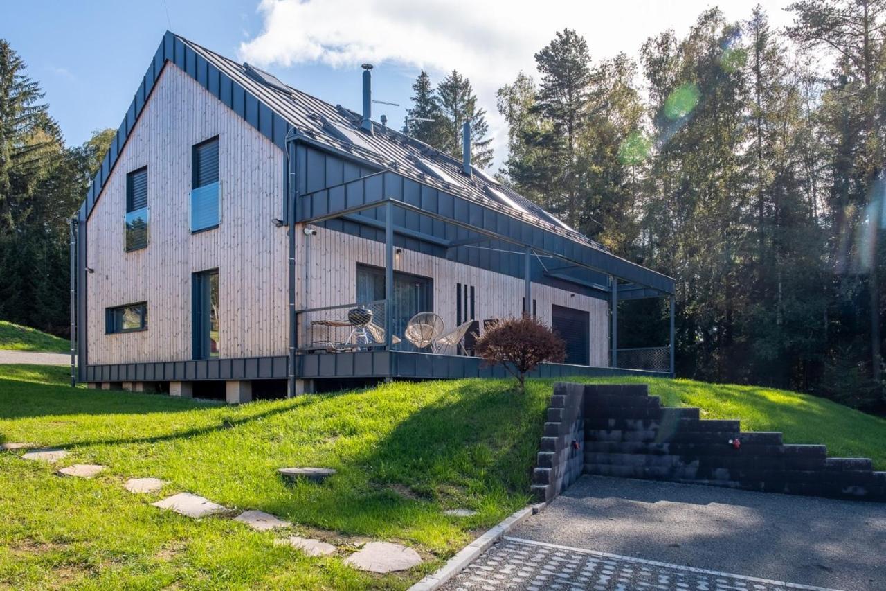 Holiday House U Hajenky 13P Lipno Home Lipno nad Vltavou Exterior photo